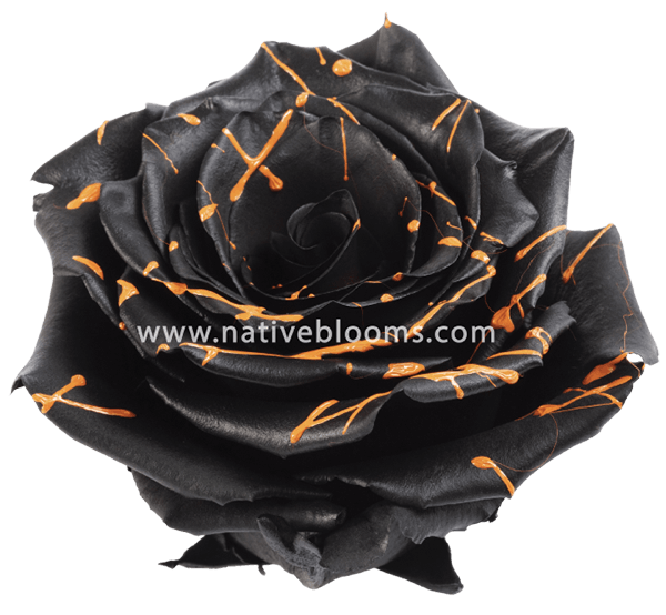 Trick or Treat Tinted Roses
